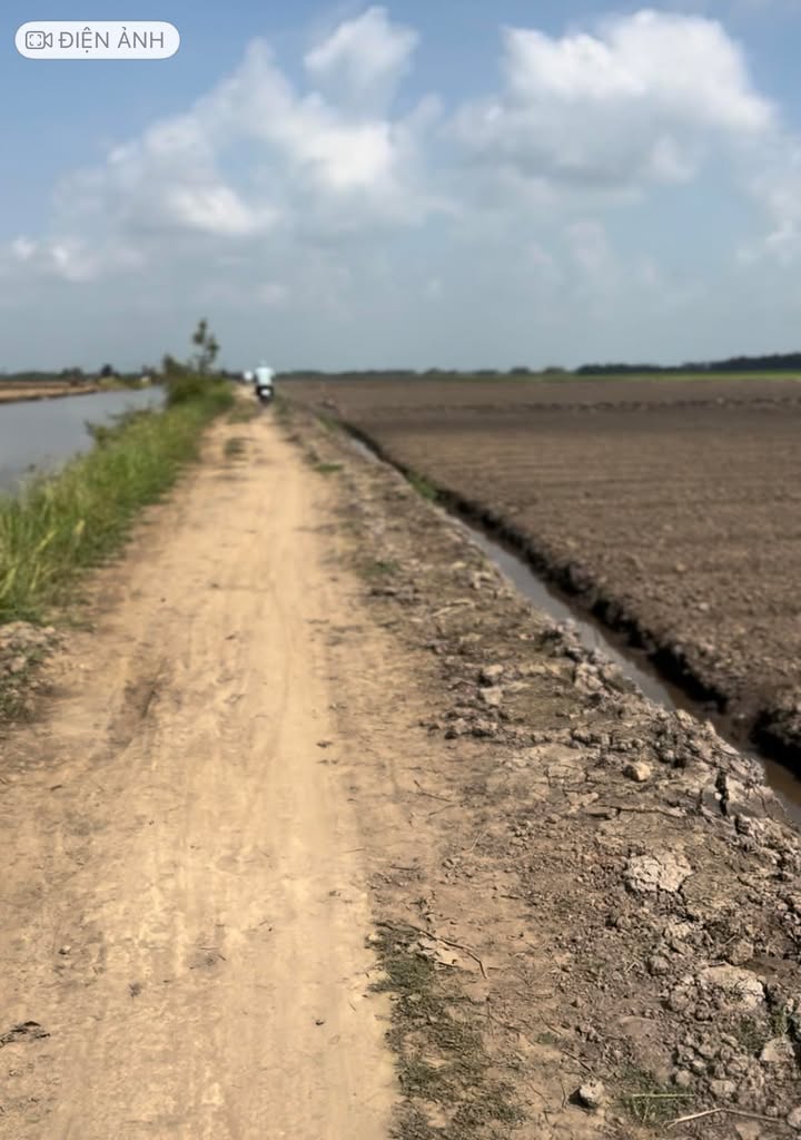 Đất nền Phú Thành B, Tam Nông, Đồng Tháp 48.000m² - Giá chỉ 5.52 tỷ VND, cơ hội đầu tư hấp dẫn!