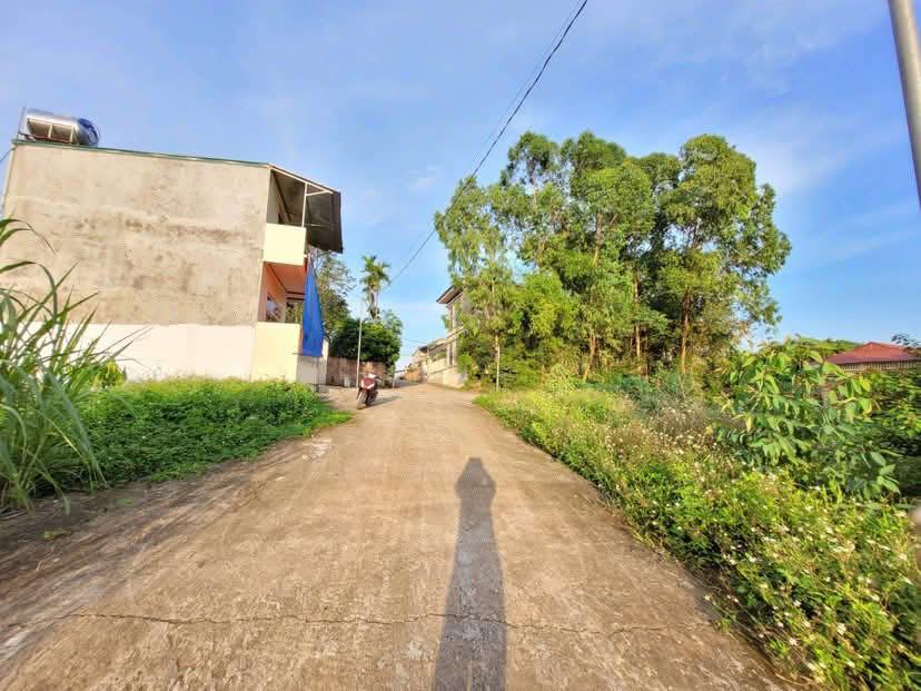 Đất nền 94m² tại Khu Rừng Tre, Thanh Đình - Hướng Đông Bắc, giá thỏa thuận!