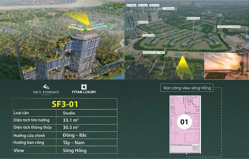 Căn hộ Studio Sky Forest Ecopark 31m² giá 2.75 tỷ - View sông Hồng tuyệt đẹp!