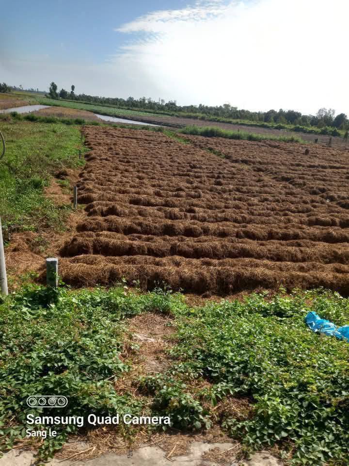 Đất nền Trung Hưng, Cờ Đỏ 1000m² giá 1.1 tỷ - Đầu tư sinh lời ngay!