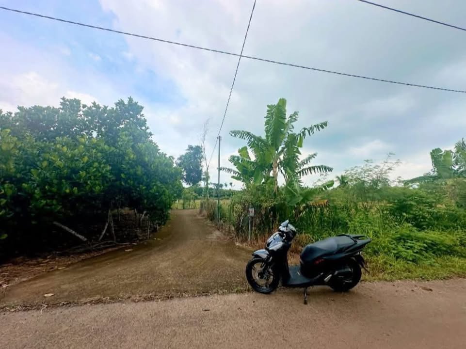 Đất nền 700m² tại Ấp Ruộng Tre, xã Bảo Quang chỉ 1.15 tỷ - Cơ hội đầu tư tuyệt vời!