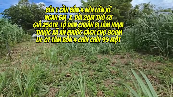 Đất nền thổ cư An Phước 100m² giá 250 triệu - Đầu tư sinh lời ngay!