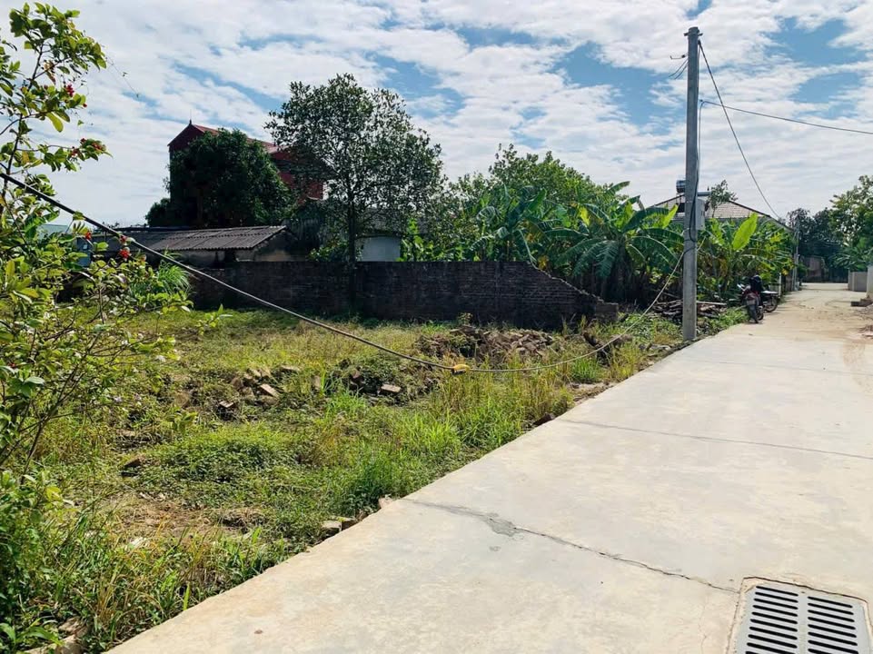 Đất nền tại Trung Giã - Sóc Sơn 700m² giá chỉ 2 triệu/m² - Đầu tư giáo dục sinh lời!