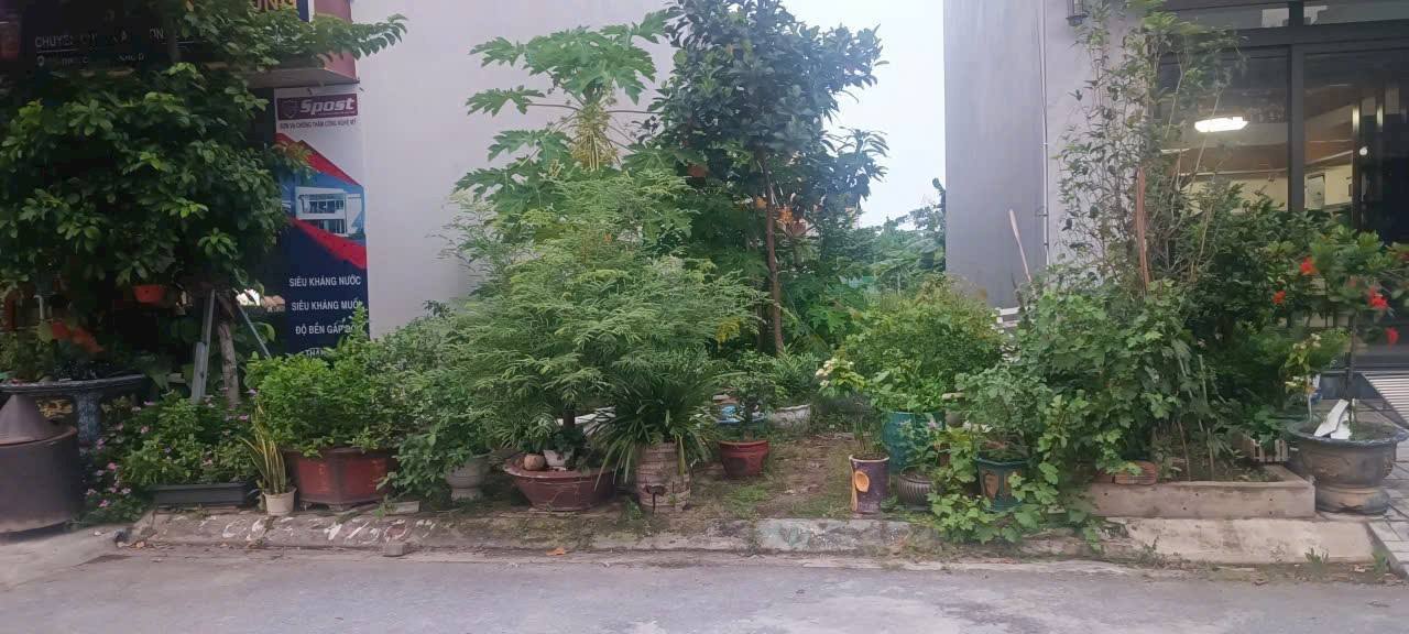 Đất nền khu tái định cư Thủy Nguyên Hải Phòng 96m² giá 7 tỷ - Chính chủ cần bán gấp!