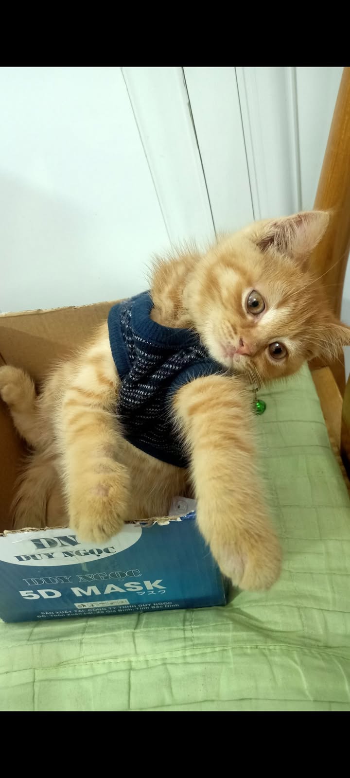 Đất Dương Kinh Hải Phòng 185m² giá chỉ 2x triệu/m² - Cơ hội đầu tư hấp dẫn!