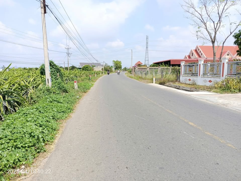 Đất cây lâu năm thôn Phú Nhang, Bình Thuận 977m² - Sổ hồng chính chủ, mặt tiền ô tô!