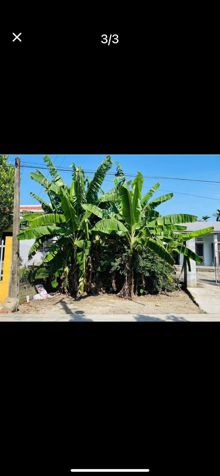 Đất nền Điện Phước, Điện Bàn 140m² giá thỏa thuận - Cơ hội đầu tư tuyệt vời!