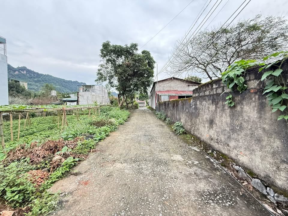Đất nền Ngọc Đường, Hà Giang 80m² giá chỉ 600 triệu - Cơ hội đầu tư tuyệt vời!