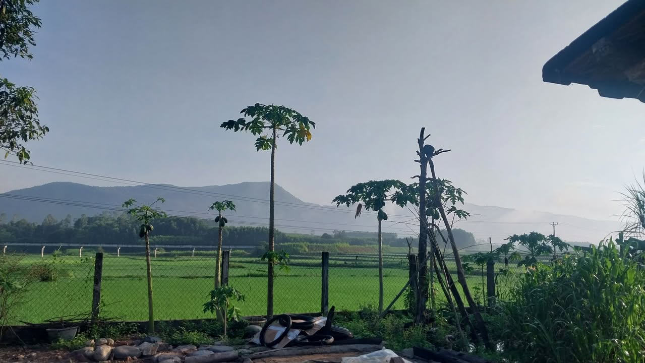 Đất nền đường Cách Mạng Tháng Tám, 100m² giá 2,8 tỷ - Cơ hội đầu tư tuyệt vời!