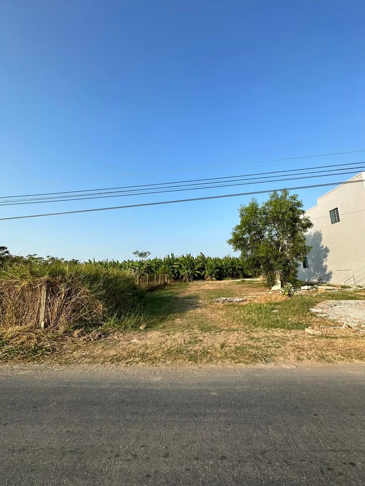 Đất nền 175m² Gò Công Đông giá 750 triệu - Sổ hồng chính chủ, mặt tiền đường nhựa