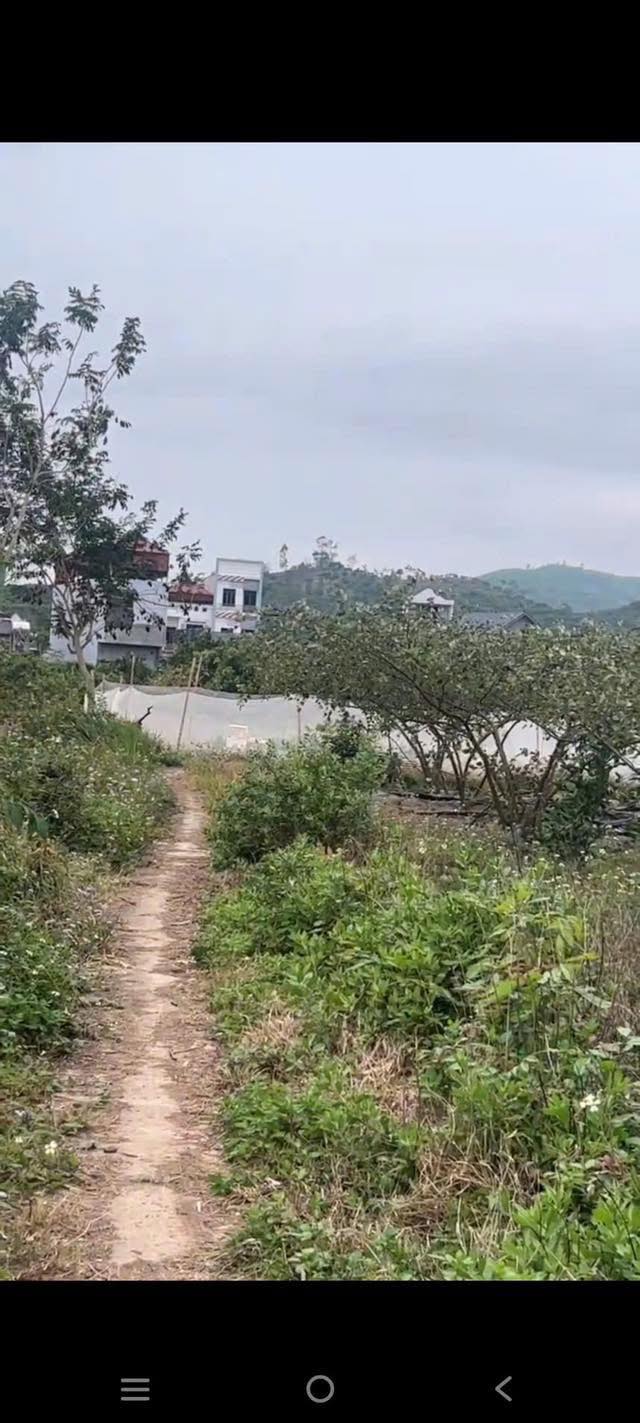 Mảnh vườn nghỉ dưỡng tại xã Lục Ngạn, Bắc Giang 3000m² - Giá hạt dẻ hiếm có!