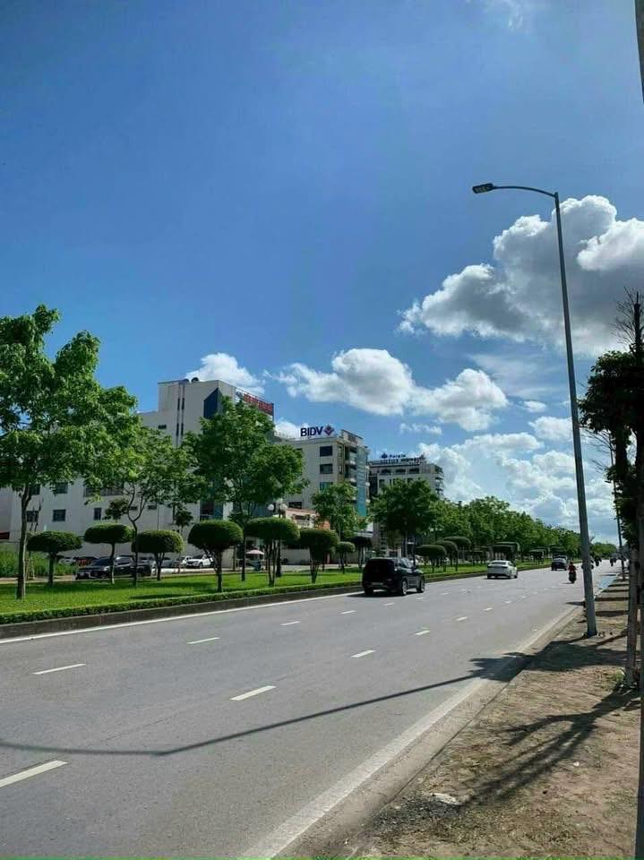 Đất Biệt Thự Mặt Đường Trường Chinh Hải Dương 198m² - Vị trí đắc địa cho đầu tư!