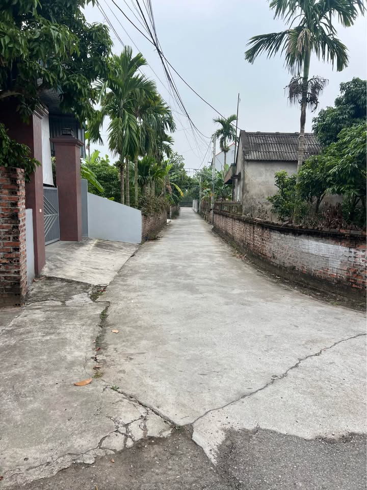 Đất nền Xóm 4, Thanh Khê, Thanh Hà, Hải Dương 100m² giá chỉ 900 triệu - Đất hai mặt đường, xe 24 chỗ vào tận nơi!