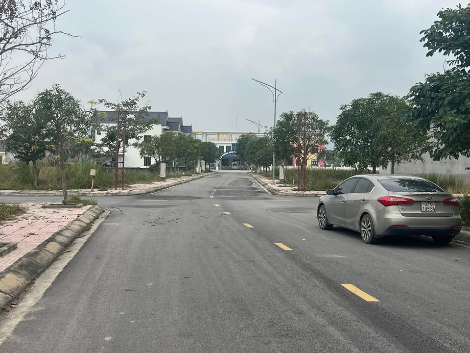 Đất nền khu dự án HVT phường Quỳnh Dị 195.5m² giá 3 tỷ - Cơ hội đầu tư hấp dẫn!