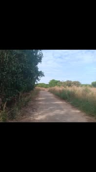 Đất nền Đồng Tiến, Đồng Phú 150m² giá 550 triệu - Đầu tư sinh lời ngay!