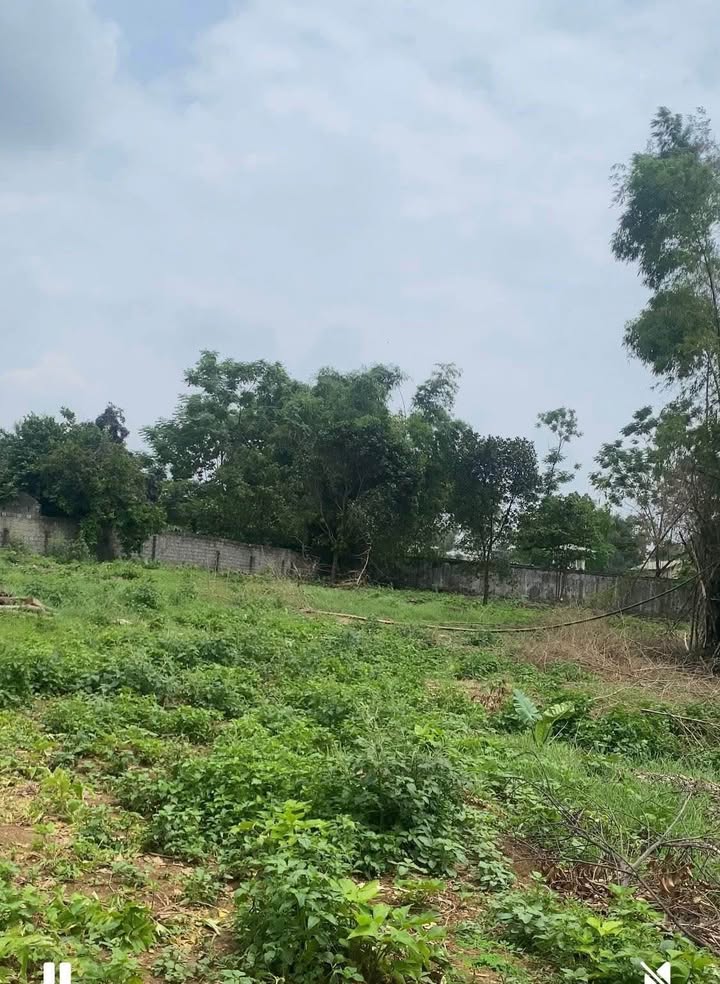 Đất nền Nhuận Trạch, Lương Sơn 1000m² - Pháp lý rõ ràng, giá hợp lý!