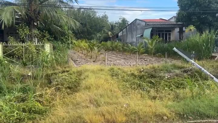 Đất nền Tân Phong Tân Biên 1036m² giá 1.078 tỷ - Đầu tư sinh lời!