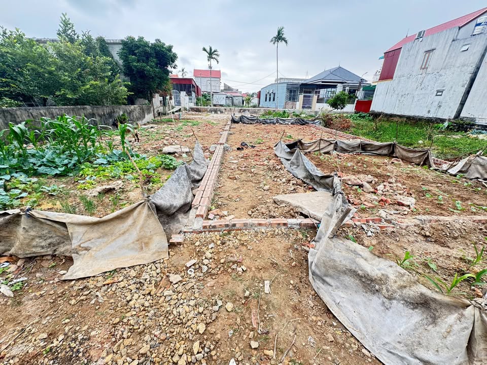 Đất nền Đoàn Xá, Kiến Thụy, Hải Phòng 60m² giá 20 triệu - Cơ hội đầu tư hấp dẫn!