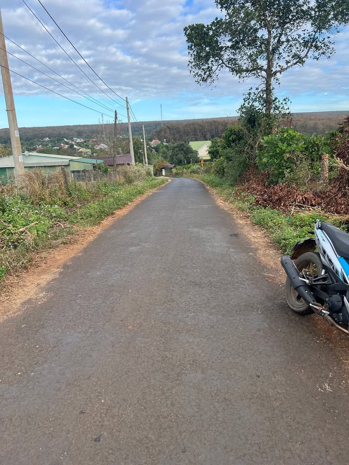 Đất nền 1780m² tại Chư Prông - Đầu tư sinh lời với giá chỉ 80 triệu!