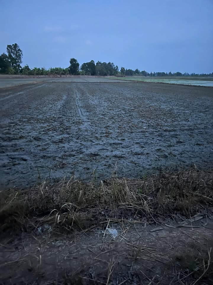 Đất Ruộng Vĩnh Thành, Châu Thành 1680m² giá 370 triệu - Tiềm năng đầu tư lớn!