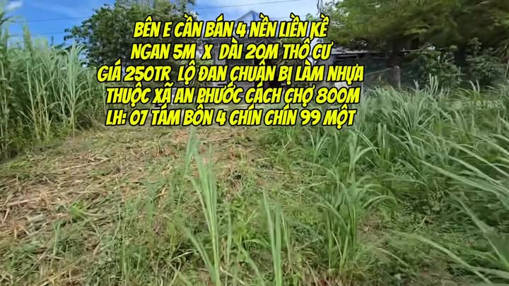 Đất nền thổ cư Tân Hồng 100m² giá 250 triệu - Sẵn sàng cho đầu tư!