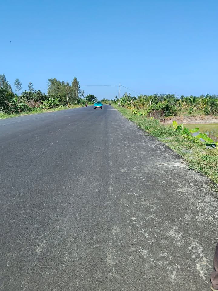 Đất nền 11.000m² tại Phường Mỹ Ngãi, Đồng Tháp - Đầu tư sinh lời ngay!