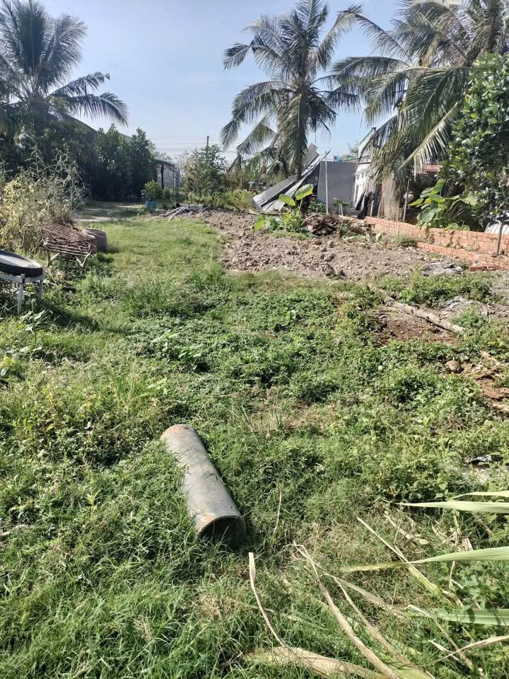 Đất thổ cư 7900m² xã Thanh Mỹ, Tháp Mười - Giá chỉ 2.37 tỷ, thương lượng trực tiếp!