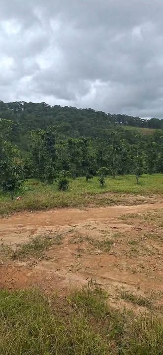 Đất nền 5 sào Đạ Nhim Lạc Dương giá thỏa thuận - Cơ hội đầu tư tuyệt vời!