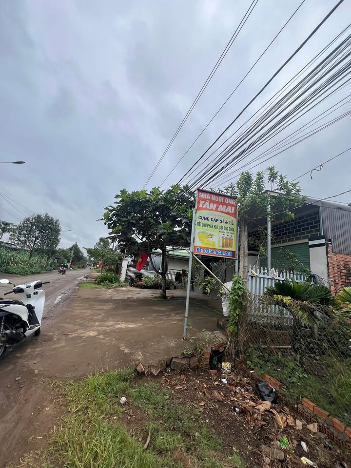 Đất nền trục chính 719 Ea Kly 6082m² giá 2 tỷ - Cơ hội đầu tư hấp dẫn!