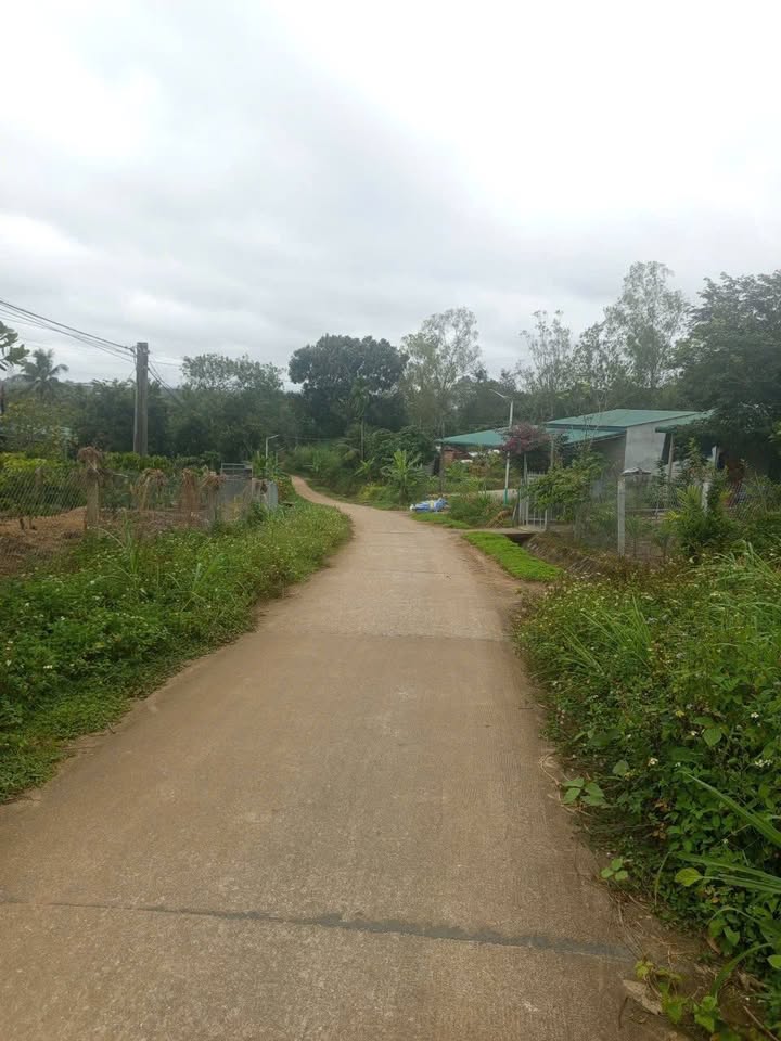 Đất nền mặt tiền đường bê tông Ea Knốp 9000m² giá 1.4 tỷ - Cơ hội đầu tư hấp dẫn!