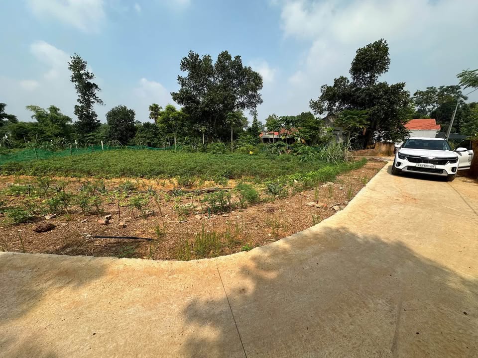 Đất nền Thanh Đình, Việt Trì 173m² giá 640 triệu - Sổ đỏ chính chủ giao ngay!