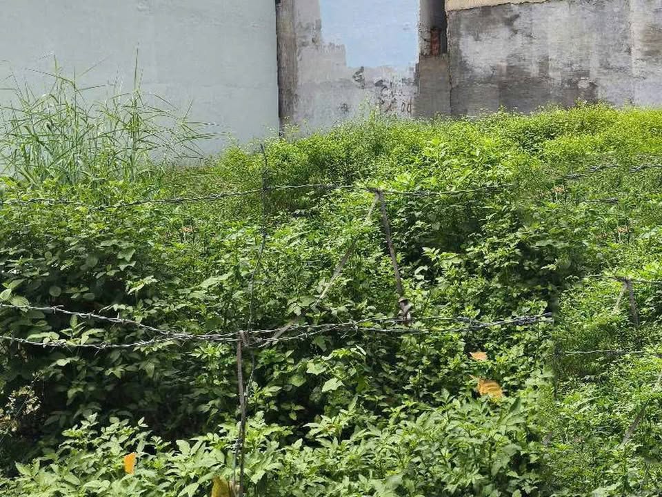 Đất Mặt Tiền Thới An 4, Quận 12, 89.6m² - Giá Chỉ 5 Tỷ!