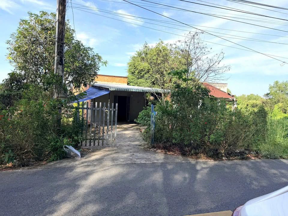 Đất mặt tiền đường DH619 Long Nguyên 590m² giá 1 tỷ - Tiềm năng sinh lời cao!