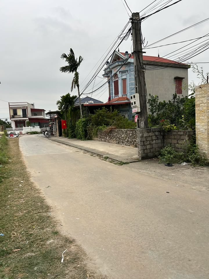 Đất nền dự án tại xã Lan Mẫu, Lục Nam, Bắc Giang, 133m² giá chỉ 700 triệu - Cơ hội đầu tư không thể bỏ lỡ!