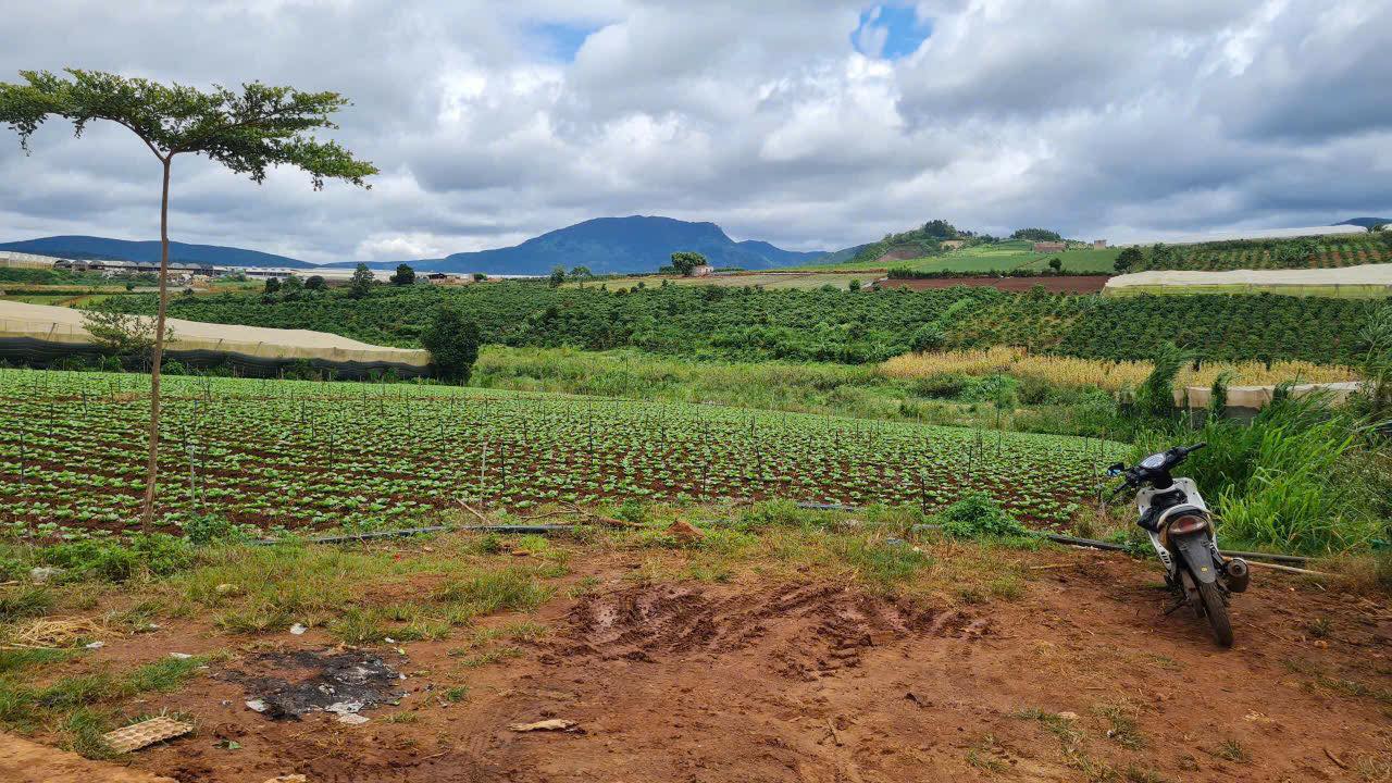 Đất nền Tu Tra Đơn Dương 1780m² giá 1.9 tỷ - Vị trí đẹp, tiềm năng phát triển!