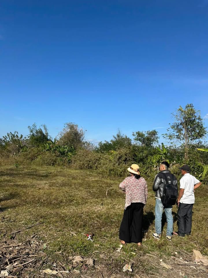 Lô nông nghiệp Hoà Bình 5000m² giá 400 triệu - Cơ hội đầu tư hấp dẫn!