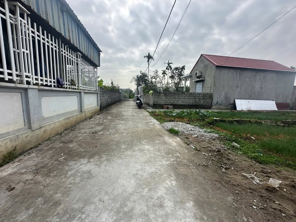 Đất Hữu Bằng Kiến Thụy 150m² giá 1 tỷ - Đường ô tô vào tận nơi!