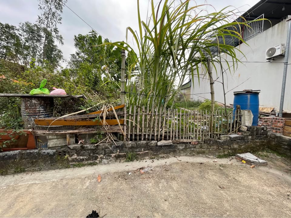 Đất nền Quảng Yên 90m² giá 500 triệu - Đường ô tô, dân cư hiện hữu!