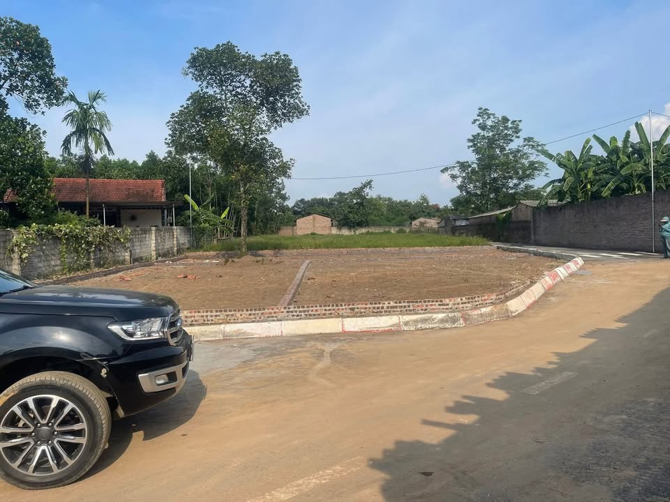 Lô đất Cẩm Lĩnh, Ba Vì 115m² giá chỉ từ 800 triệu - Đầu tư sinh lời hấp dẫn!