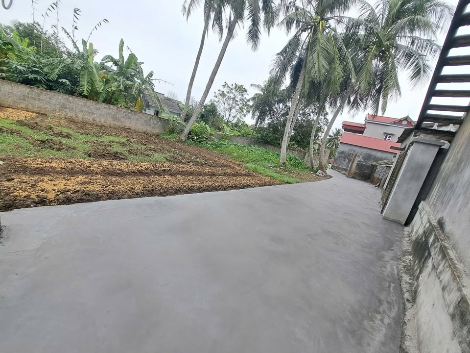 Đất nền Tứ Kỳ Hải Dương 184m² giá thỏa thuận - Mặt tiền rộng, ô tô vào tận nơi!