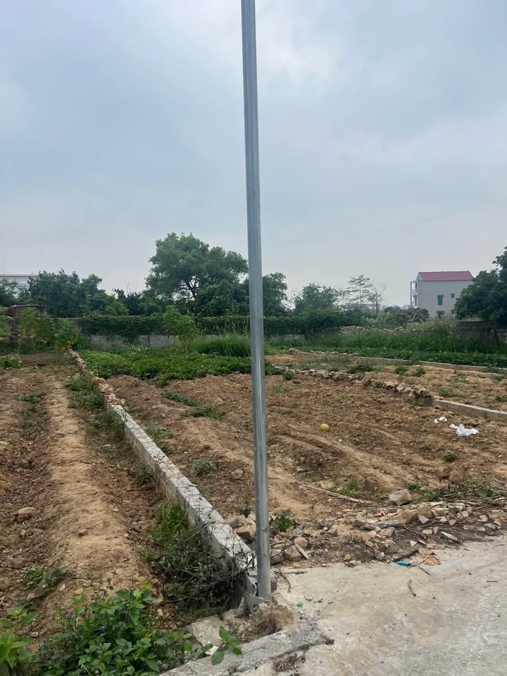 Đất thổ cư Lan Mẫu, Lục Nam 135m² - Mặt tiền 5m, giá tốt thương lượng!