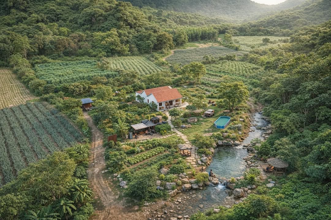 Đất nền Đồng Lâm Hạ Long 2850m² giá 3.2 tỷ - Tiềm năng du lịch nghỉ dưỡng tuyệt vời!