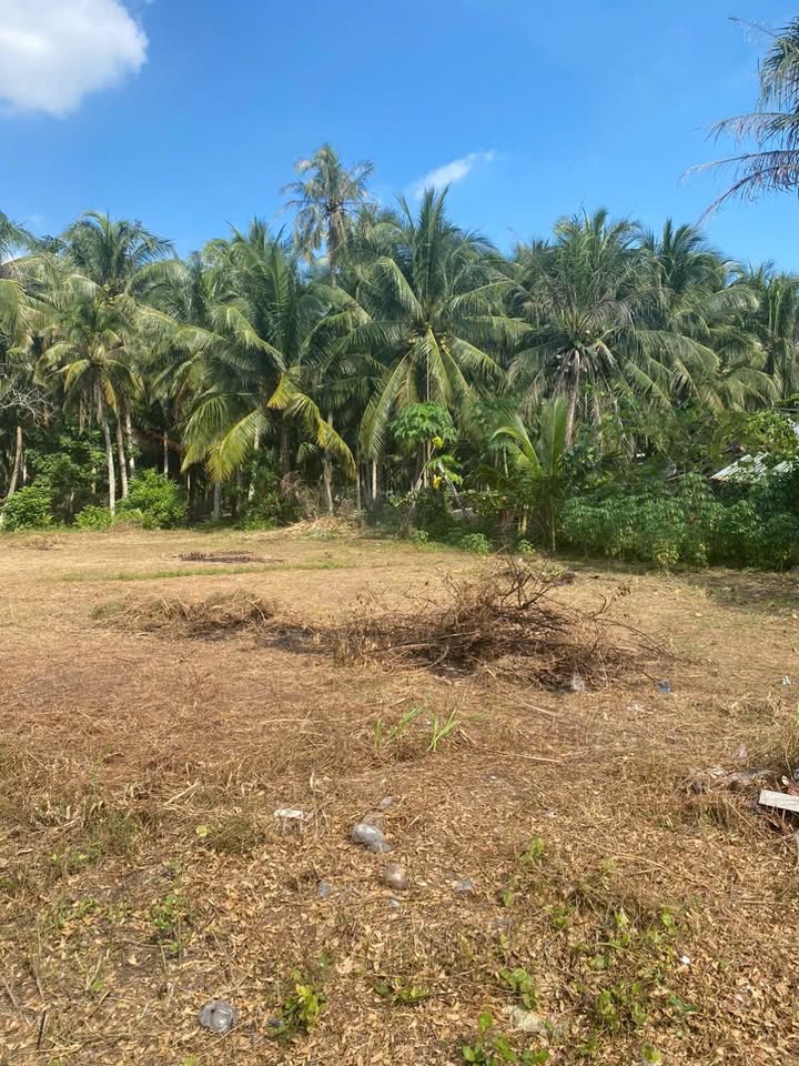 Đất thổ cư Mỏ Cày Nam 3800m² giá 14.44 tỷ - Mặt tiền Quốc lộ 60