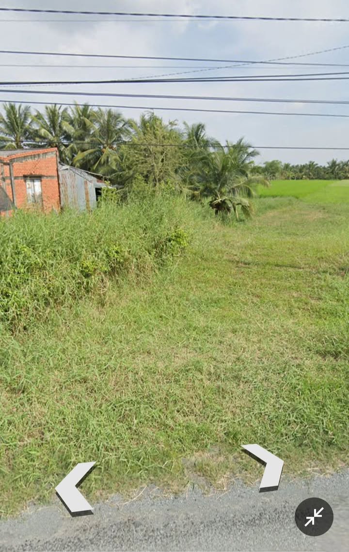 Đất mặt tiền đường nhựa Tân Mỹ, Ba Tri, Bến Tre 1100m² giá chỉ 700 triệu - Cơ hội đầu tư tuyệt vời!