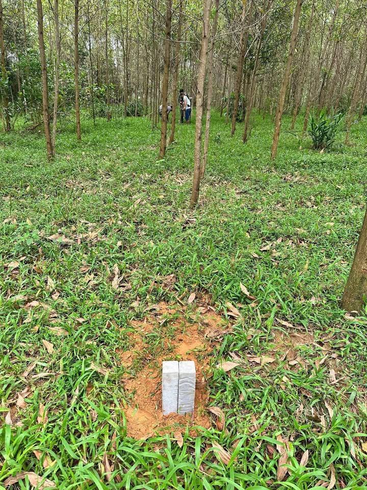 Lô đất Hương Bình 150m² giá chỉ 200 triệu - Đầu tư sinh lời ngay!