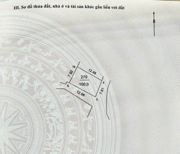 Đất nền Tân Minh, Sóc Sơn 100m² - Vị trí đẹp, giá rẻ cho nhà đầu tư!