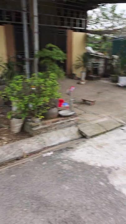 Đất nền Hòa Mạc Duy Tiên 92.5m² giá 2 tỷ - Cơ hội đầu tư lý tưởng!