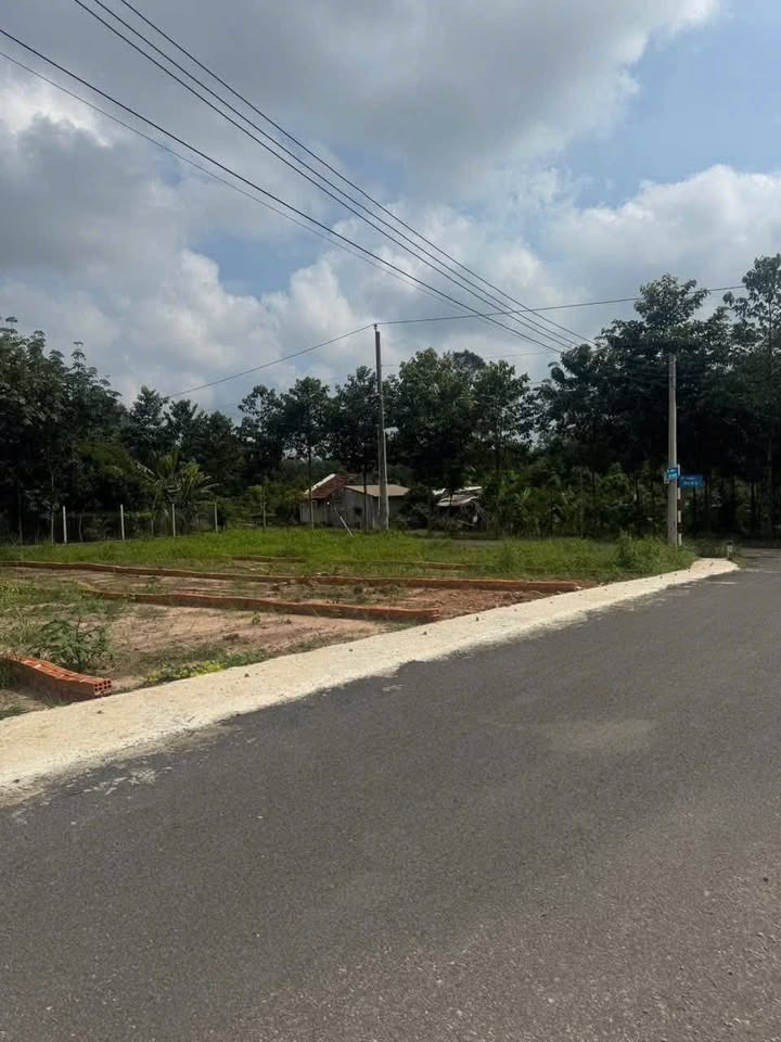 Lô đất An Linh Phú Giáo 250m² giá 890 triệu - Mặt tiền đường nhựa thuận lợi!