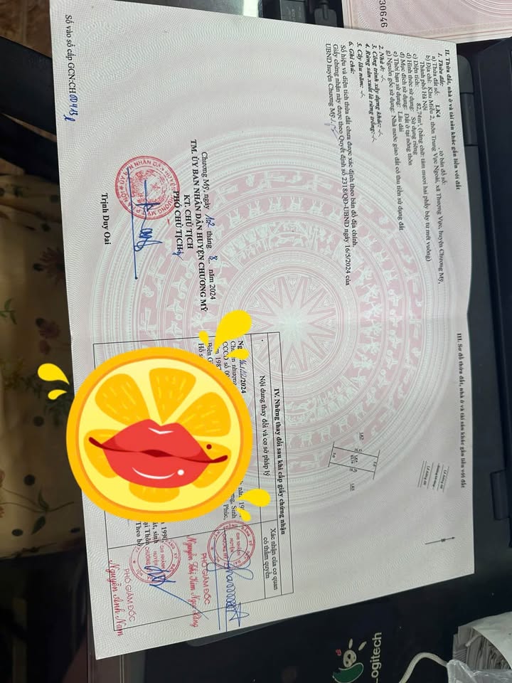 Đất đấu giá Khu Miễu 2, Chương Mỹ 83m² - Tiềm năng kinh doanh lớn!