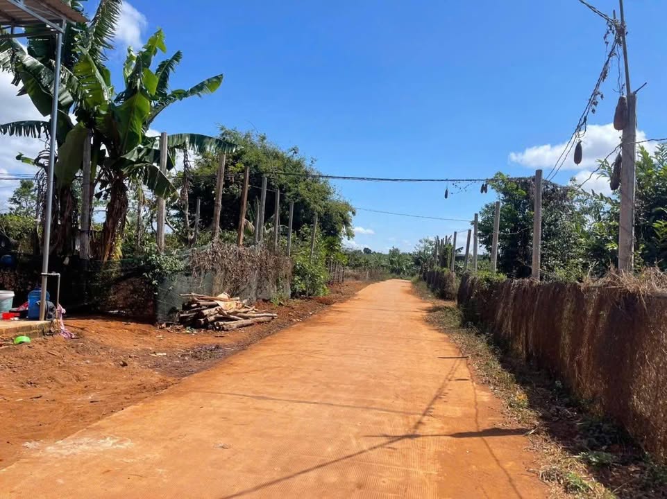 Đất nền An Phú, Pleiku 225m² giá 300 triệu - Cơ hội đầu tư tuyệt vời!